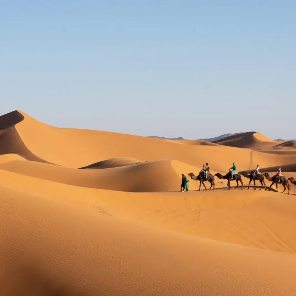 atlas-holiday-DESERT