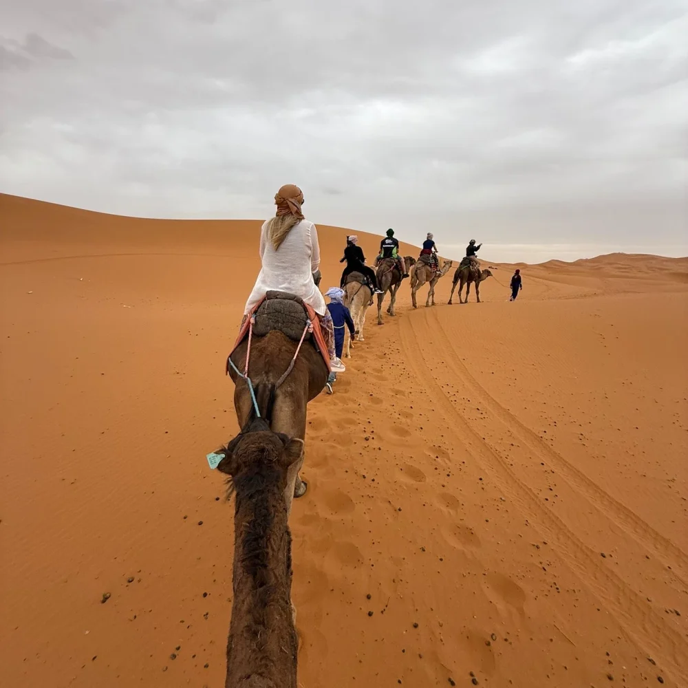 f708d557-6a0d-4cb5-a95a-98c94990c2b3