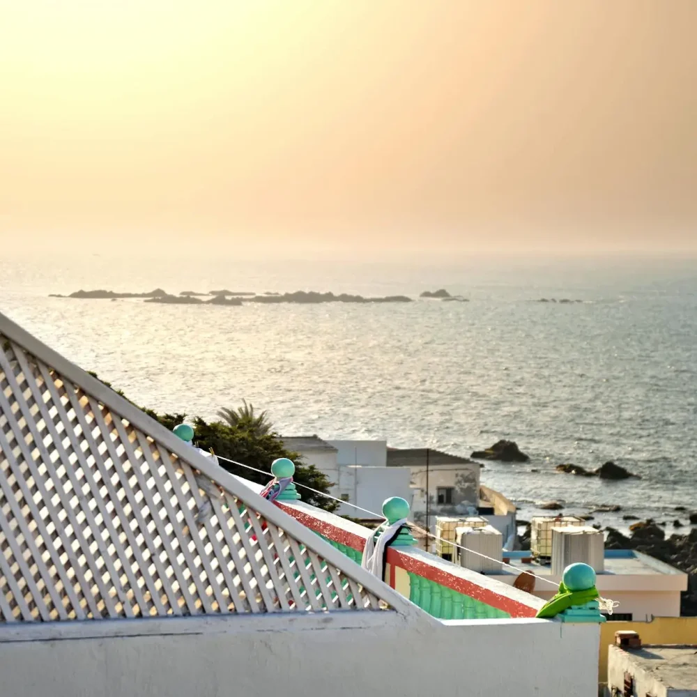 pexels-mographe-11517331